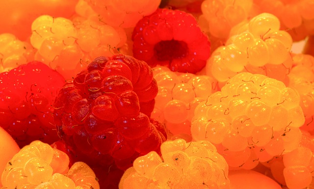 在该领域的 在该领域的