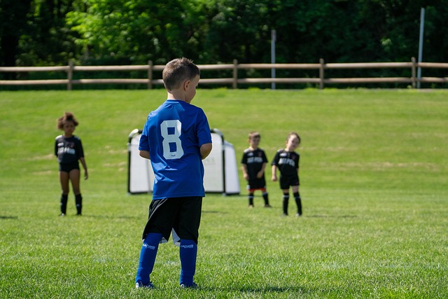 本赛季的沃 本赛季的沃